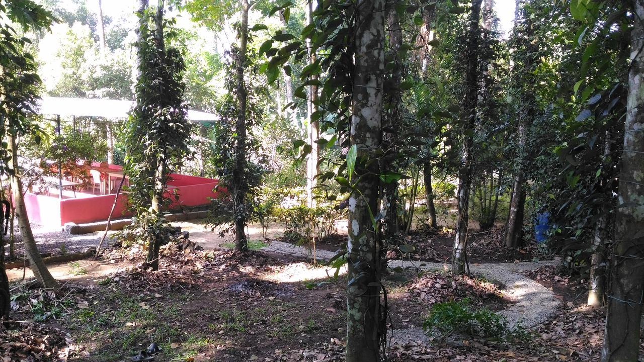 Philip Mary Farm Stay Теккаді Екстер'єр фото